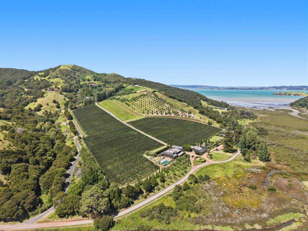 Vineyard to coast Wide land context