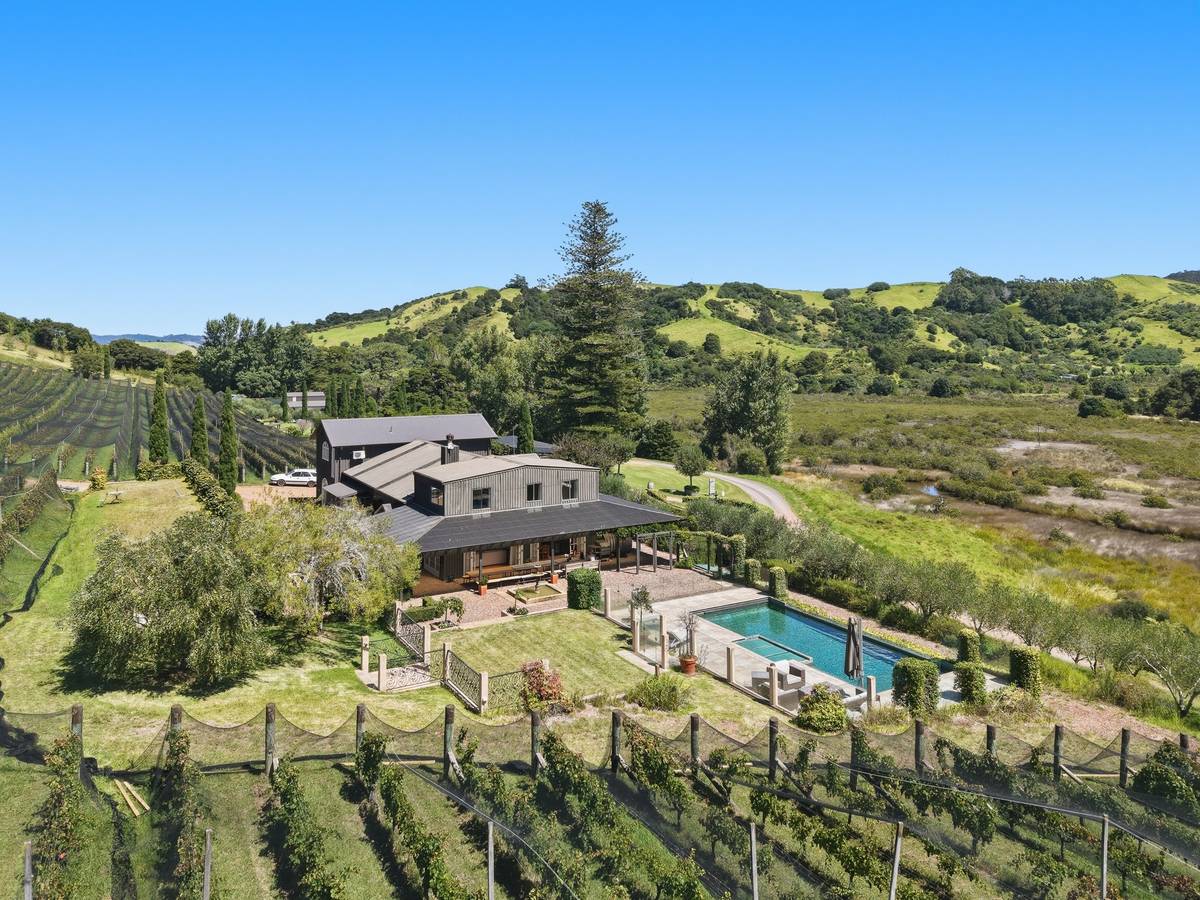 Estate   vineyard Pool and grounds