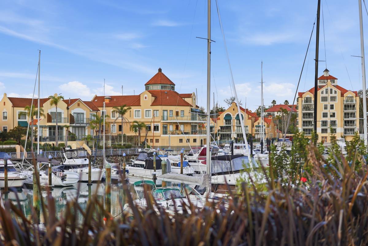 Harbour Masts and foreshore